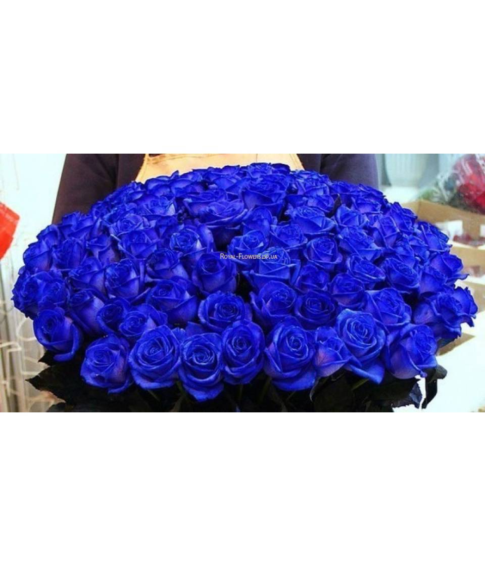 Как выращивают синие розы
