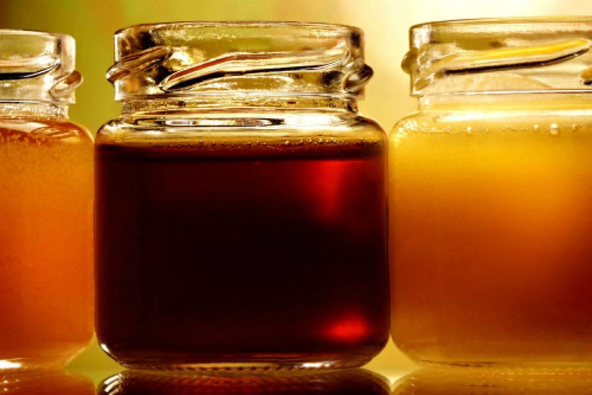 Гречишный мед: польза и вред для организма человека