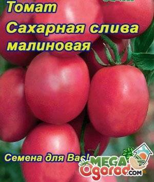 Самые сладкие помидоры: сорта, фото, отзывы