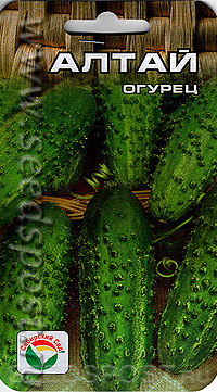 Огурец лютояр — 8 особенностей и 13 советов по выращиванию и уходу
