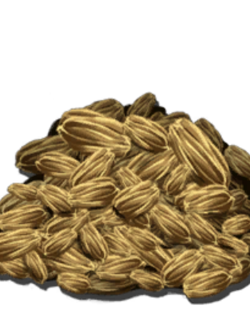 Семена свеклы: лучшие сорта для открытого грунта