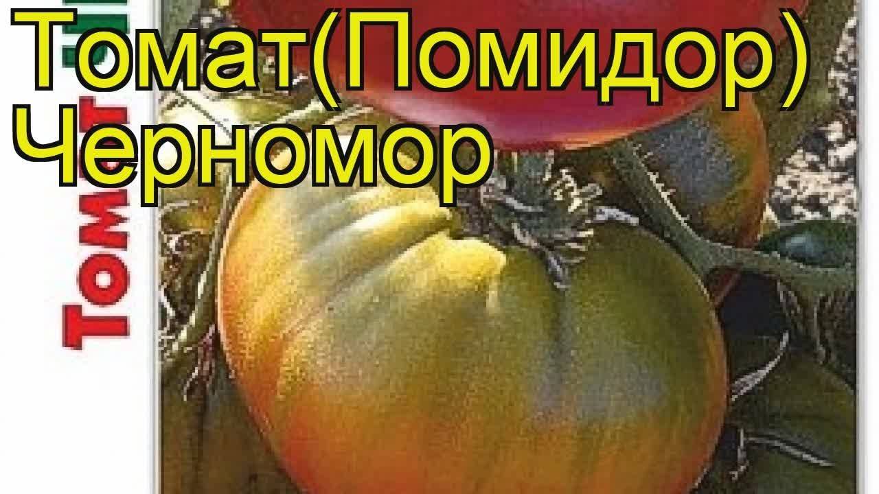 Томат ультраскороспелый: отзывы, фото, урожайность, описание и характеристика | tomatland.ru