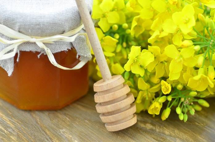 Полезные лечебные свойства и противопоказания рапсового мёда
