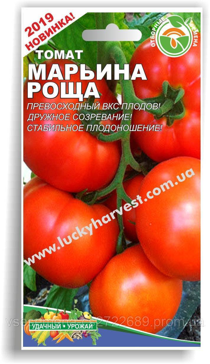 Урожайный томат марьина роща для выращивания в теплице