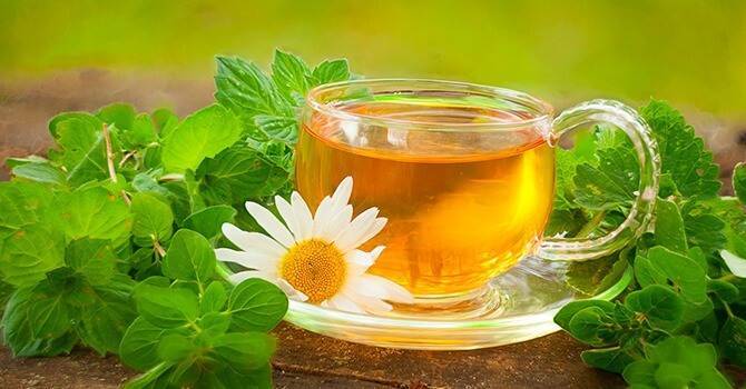 Травяные чаи на каждый день. как составить. рецепты. какие травы можно пить вместо чая каждый день