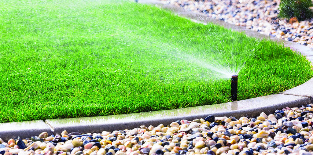 Как правильно поливать газон: схемы и нормы, расход воды, оборудование