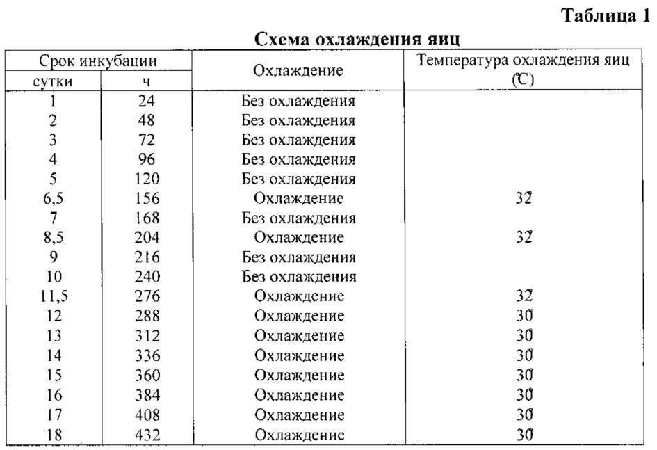 Схема инкубации куриных яиц в инкубаторе блиц