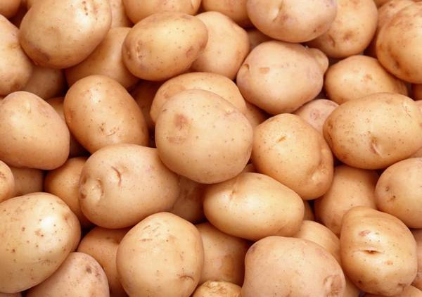 Голубизна: описание сорта картофеля, характеристики, агротехника