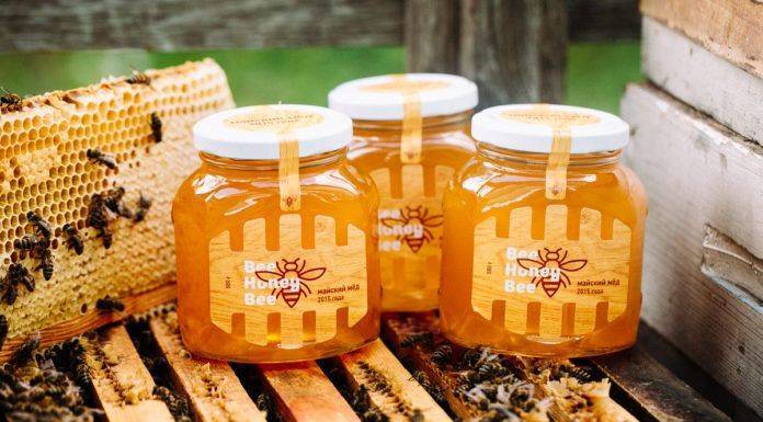 Майский мед: полезные свойства, вред, особенности и отзывы