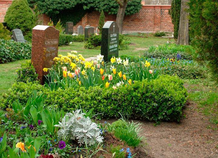 Какие цветы можно посадить на кладбище многолетние