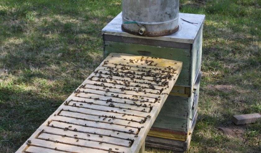 Пчелодомики для апитерапии