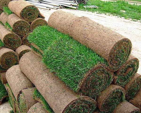 Вечнозеленое покрытие: искусственный газон, его преимущества и особенности укладки