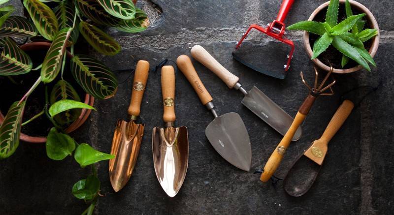 Все о садовом инструменте: набор инвентаря для ухода за садом и огородом