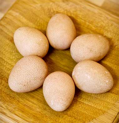 Яйца цесарки: свойства, состав, польза и вред, особенности использования - питание - vitaminov.net