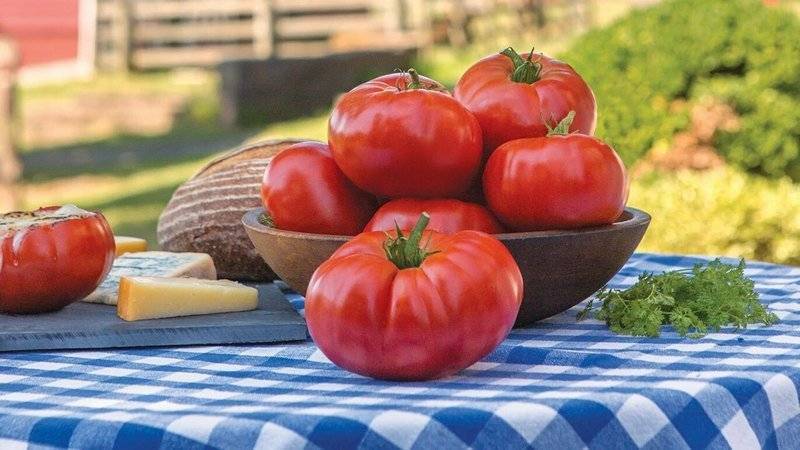 Выращивание томата марманде