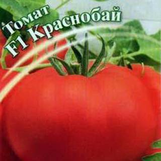 Батяня - томат: характеристика, описание сорта, урожайность, посадка и уход