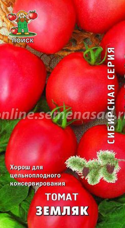 Земляк — сибирский сорт томатов