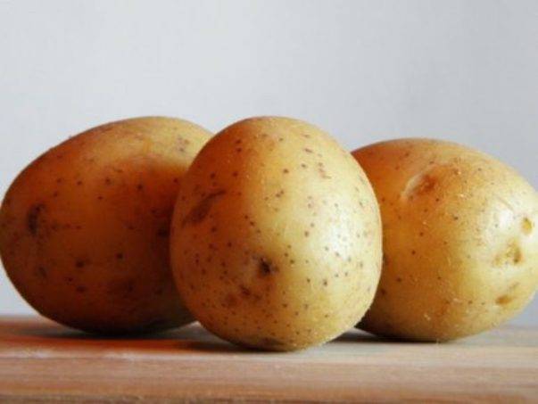 Мемфис: описание семенного сорта картофеля, характеристики, агротехника
