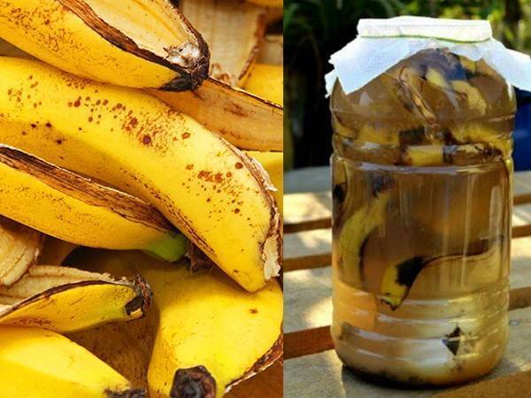 6 способов использования банановой кожуры в саду и огороде