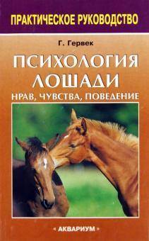 Как приручить лошадь: особенности, налаживание контакта, проведение тренировок