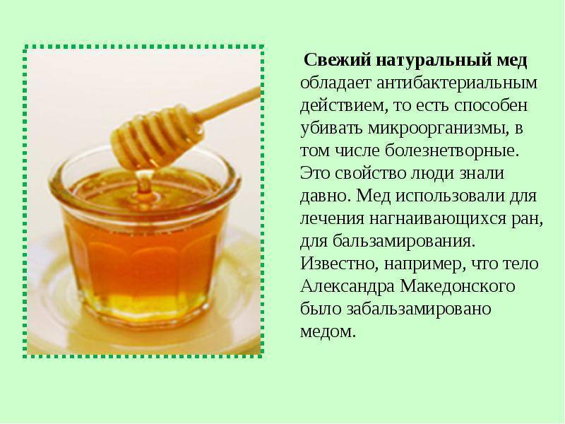 Липовый мед: польза и вред для здоровья