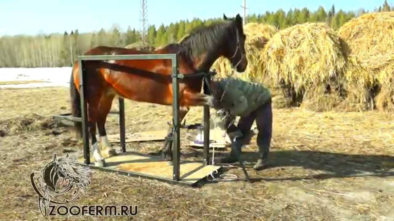 Как делают подковы лошадям