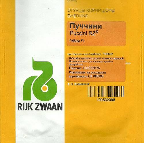 Огурцы паратунка