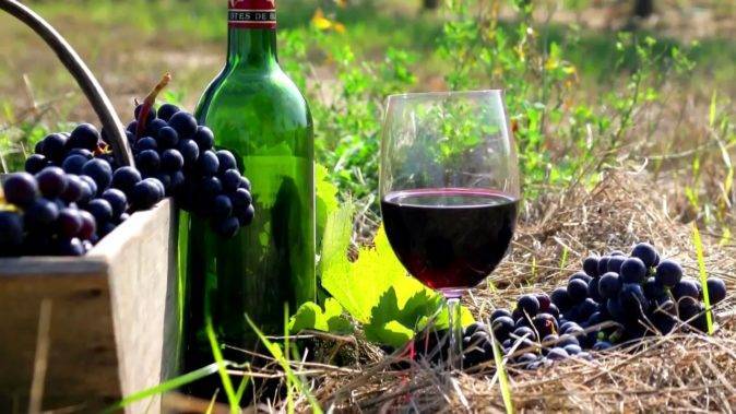 Рейтинг красных сухих вин: какую лучше марку выбрать и как это сделать