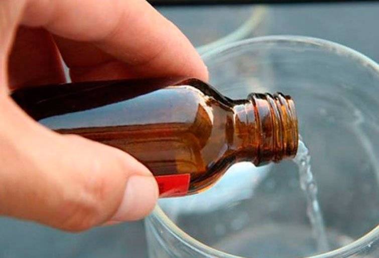 Нашатырный спирт: безопасная азотная подкормка для растений и средство борьбы с вредителями