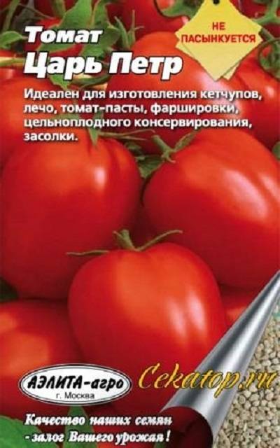 Как вырастить помидоры из семян: как правильно сеять и организовать высадку своих томатов и уход за ними?
