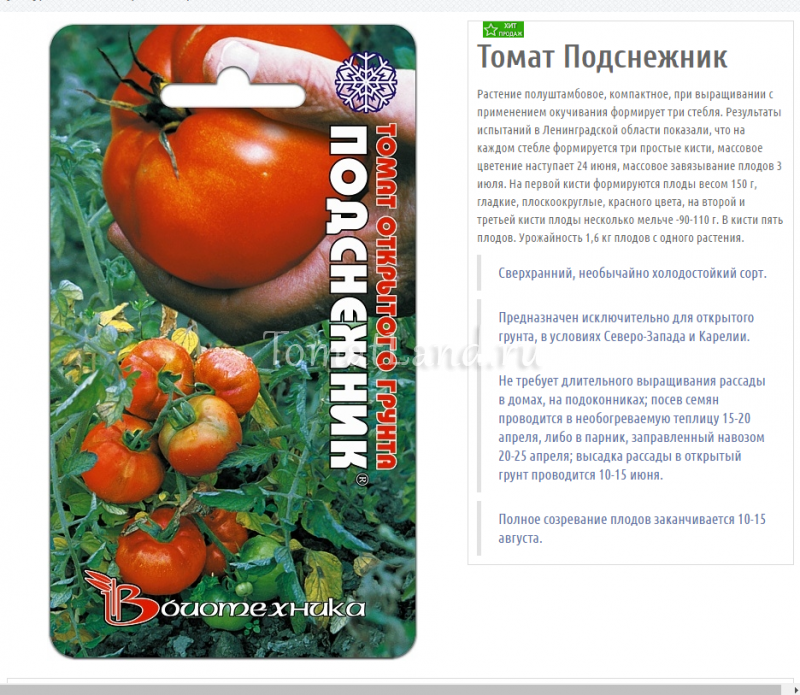 О томате Подснежник: описание сорта, характеристики помидоров, посев