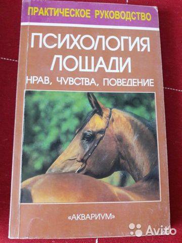 Психология: стих о лошади - бесплатные статьи по психологии в доме солнца