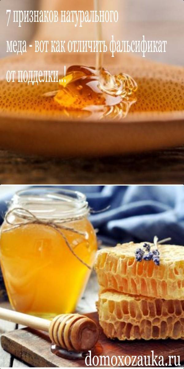 О свежем меде: как отличить свежий мед от старого, прошлогоднего растопленного