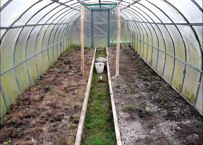 Как подготовить почву весной в теплице под помидоры и чем обработать перед посадкой