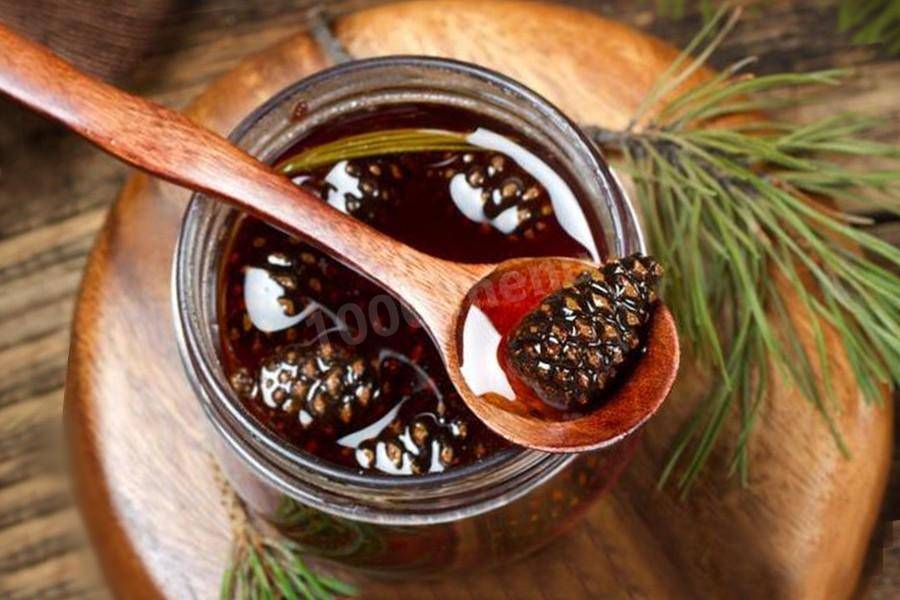 Сосновый мед: полезные свойства и рецепты