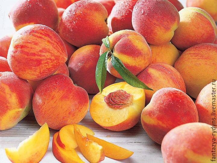 Курага это абрикос или персик. персик или абрикос?