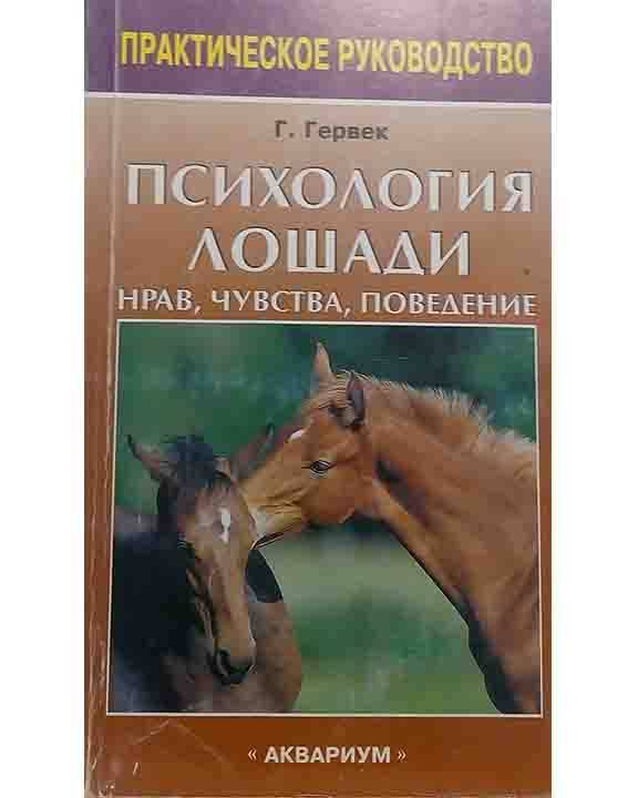 Психология: лошади скачки - бесплатные статьи по психологии в доме солнца