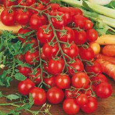 Подробное описание сорта томатов рапунцель