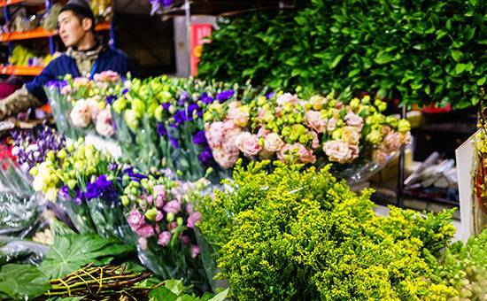 Как создать бизнес по выращиванию цветов?