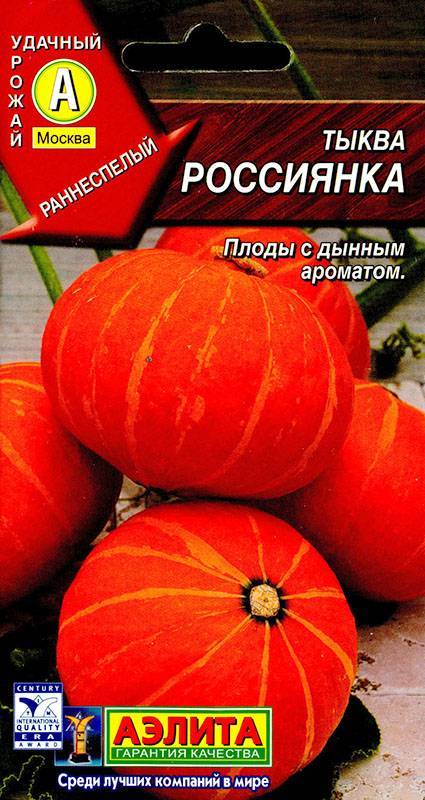Все о тыкве Россиянке: описание сорта, выращивание и уход, агротехника