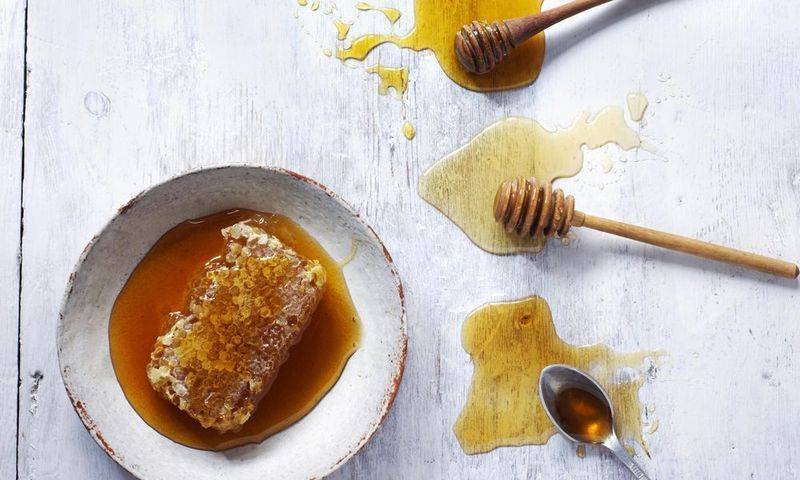 Сохранение полезных свойств медом при нагревании