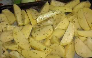 Картофель сорта ривьера: описание от посадки до урожая