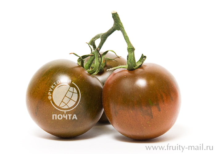 Кумато — томат-полудикарь, получивший мировую известность