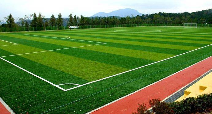 Футбольные поля натуральное или искусственное?