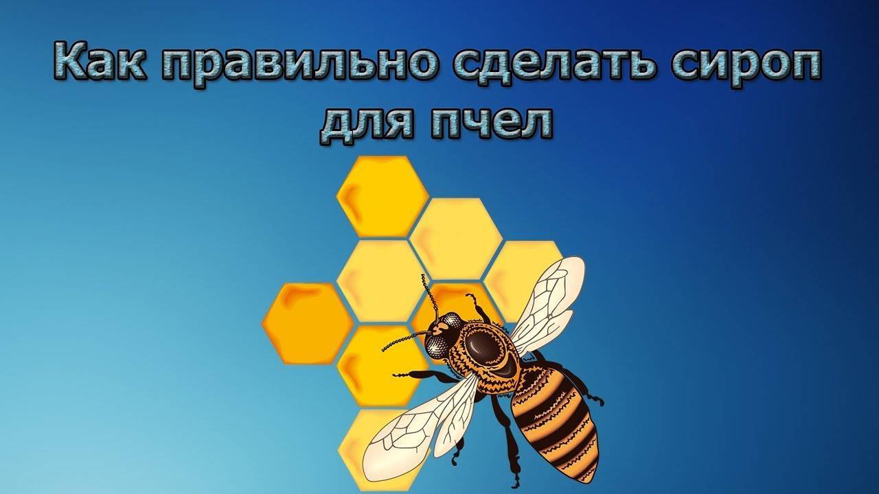 Инвертированный сироп – лучшее средство подкормки пчел