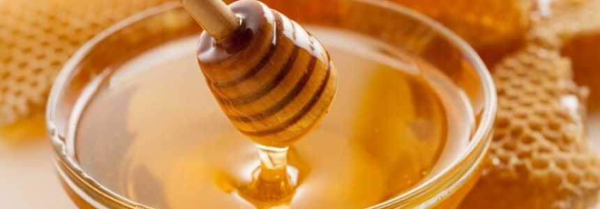 Какой же мед самый полезный?