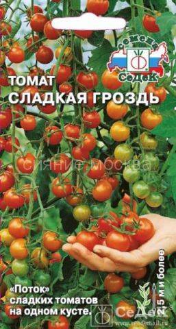 Томат бурая гроздь f1: отзывы, фото, урожайность | tomatland.ru