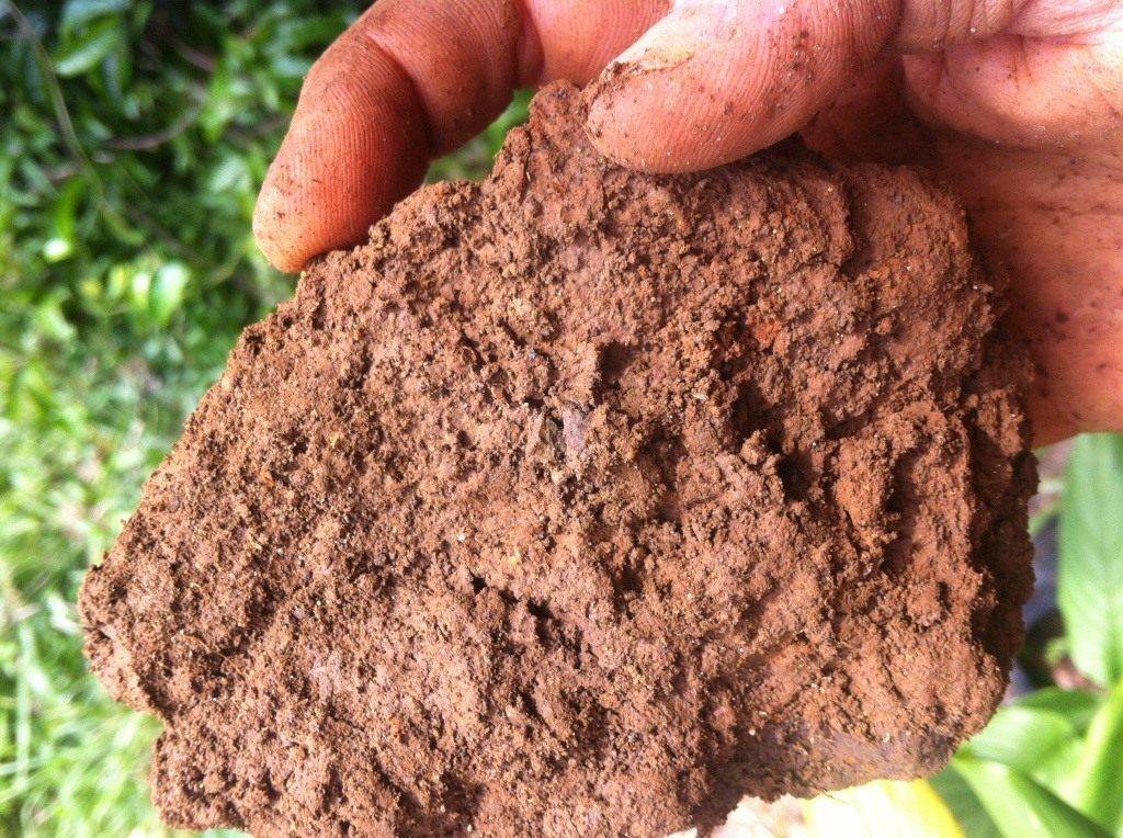 Типы почв и их особенности