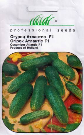 Особенности сорта огурцов «атлантис f1» и рекомендации по выращиванию