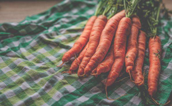 Когда нужно посадить морковь на семена и как собрать посевной материал самостоятельно?